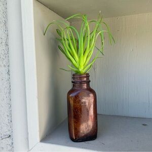 Antique Brown Bottle with Faux Air Plant